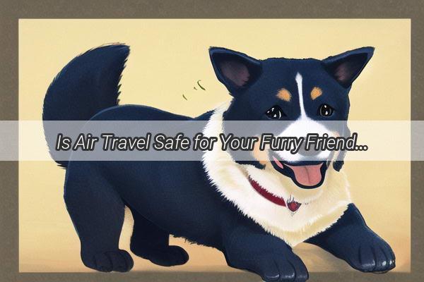 Is Air Travel Safe for Your Furry Friend Unveiling the Truth About Flying with Dogs